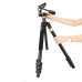 Штатив + монопід фірми QZSD для фотоапаратів - Q-620H (Q620H) + головка Q80
