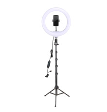 Кільцеве LED світло YQ-320B (12" - 32см) з пультом (дротовим), тримачем та стійкою 2м для бьюті, селфі зйомки