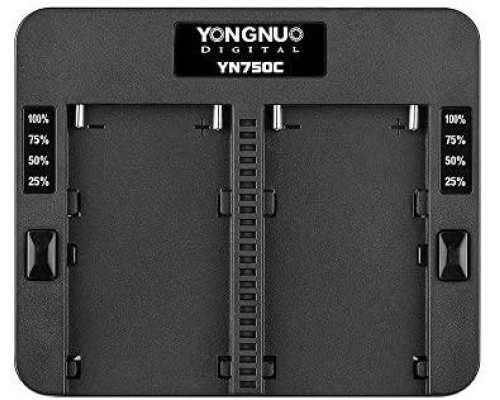 Зарядний пристрій Youngnuo YN750C для акумуляторів NP-F550/F570/F750/F770/F950/F960/F970