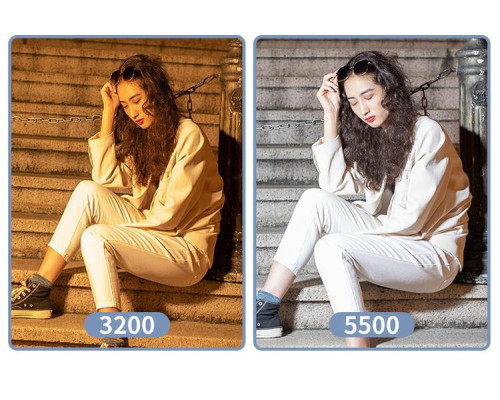 LED - освітлювач, відеосвітло Teyeleec TL520 (3200-5600 K)