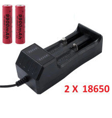 Комплект: 2 шт - акумулятор 18650 9900 ma+ зарядний пристрій з USB - JR2020-2