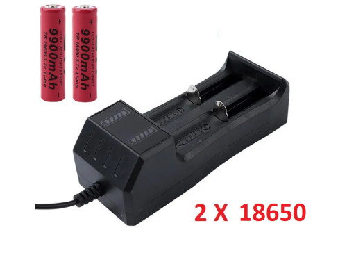 Комплект: 2 шт - акумулятор 18650 9900 ma+ зарядний пристрій з USB - JR2020-2