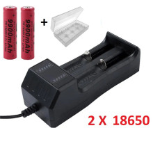 Комплект: 2 шт - акумулятор 18650 9900 ma+ зарядний пристрій з USB - JR2020-2 + кейс