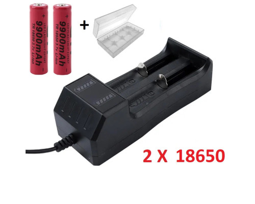 Комплект: 2 шт - аккумулятор 18650 9900  ma+ зарядное устройство с USB - JR2020-2 + кейс