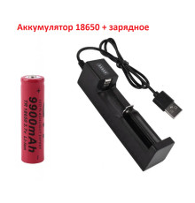 Комплект: 1 шт - акумулятор тип 18650 (9900 ма) + зарядний пристрій з USB - JR2020-1