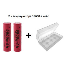 Комплект: 2 шт - акумулятора 18650 Nai Ling 9900 mAh + пластиковий кейс
