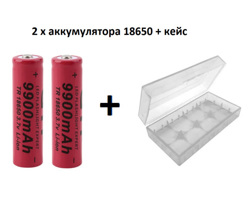 Комплект: 2 шт - аккумулятора 18650 Nai Ling 9900 mAh + пластиковый кейс