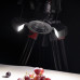 Біполярний макро спалах Yongnuo YN24EX II TTL для фотоапаратів Sony