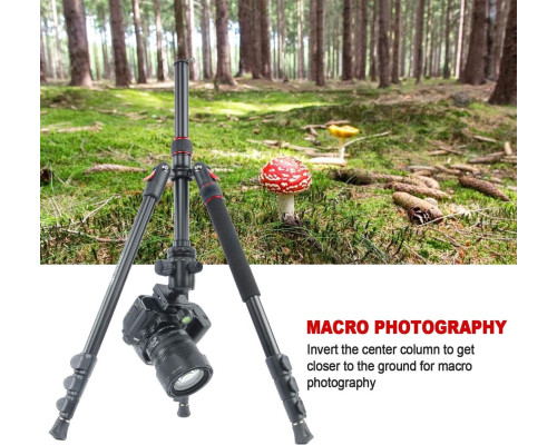 Штатив + монопод фірми JEIFN для фотоапаратів - Q-558 (Q558)