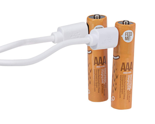 Аккумуляторы Smartools (микропальчиковые) ААA 450Mah 1.2V с зарядкой TYPE C - блистер (2 шт) + кабель TYPE-C