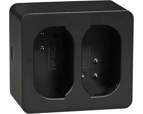 Зарядное устройство с USB - TYPE-C для 2-х аккумуляторов Leica BP-SCL6 (Leica 19531) для камер Leica Q2, Q3, SL2, SL2-S, SL3 SL3-S
